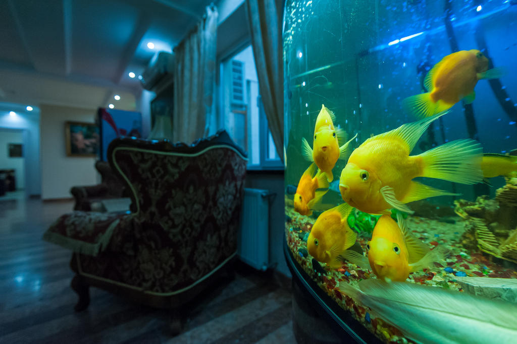 Hotel Leoton Tchernivtsi Extérieur photo